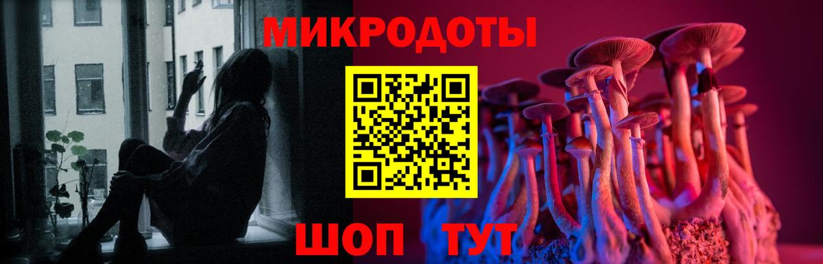 Углич  как найти   Псилоцибиновые грибы Cubensis  Вход с VPN  Галлюциногенные грибы мухоморы 