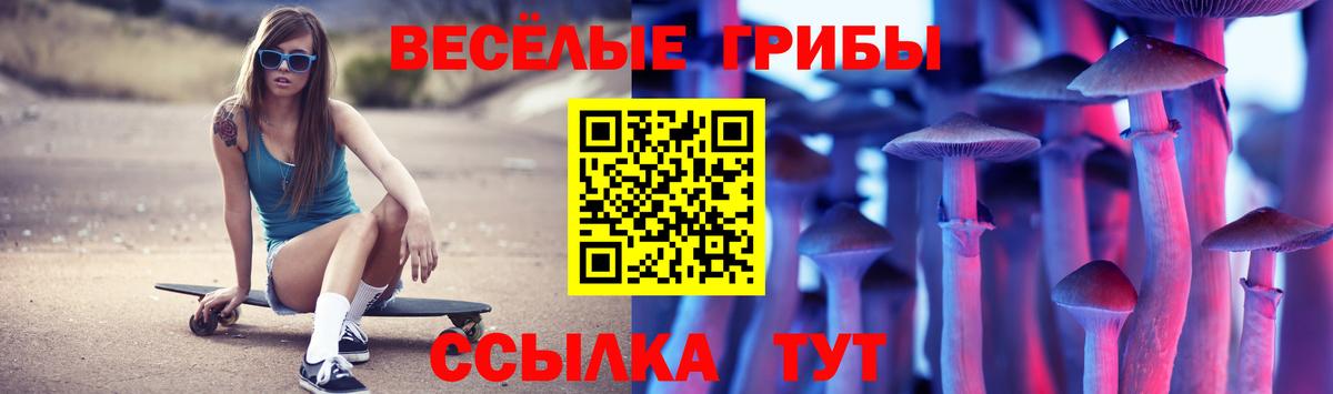 Псилоцибиновые грибы MAGIC MUSHROOMS Углич